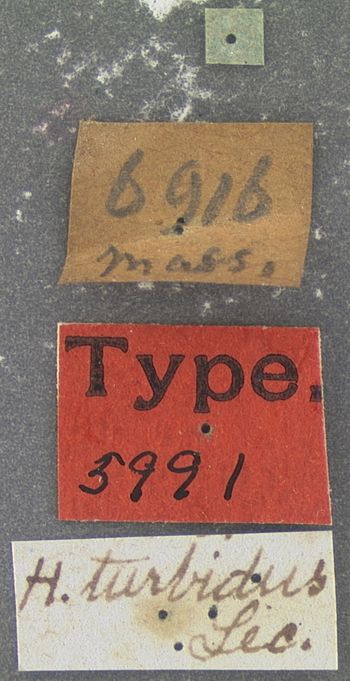 Media type: image;   Entomology 5991 Aspect: labels